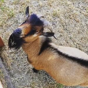 Meet your Posher, Jacob